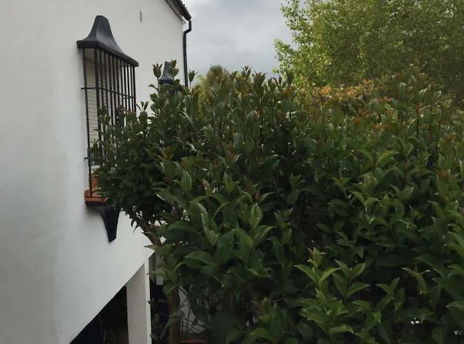 Casa Albeitar Holiday home